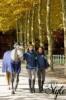 Equi-Thme Pro Elite ni kabt