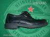 GALLUS GALLU TEX VZLL M FFI BR CIP 41 42