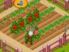 New Farmer 2
