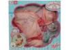 Baby Annabell babaruha+kiegsztk 46 cm - Zapf