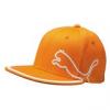 Puma baseball sapka