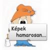 Azrkk pamut bbi nadrg