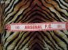 Arsenal szurkoli sl