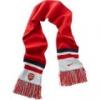 Arsenal Team sl
