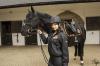 Equi-Thme Critrium unisex bomber dzseki