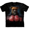 Boxer Rocky, felntt kutys amerikai the Mountain pl