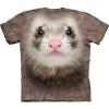 Ferret Face gyermek llatos amerikai the Mountain pl