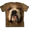 The Mountain Bulldog Face felntt rvidujj 3D amerikai pl