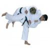 Judo Edzruha