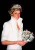 DIANA HERCEGn 70