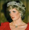 DIANA HERCEGn 71