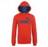 Puma No1 Logo gyermek kapucnis pulver