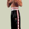 Kick box nadrg Go n Get FULL CONTACT PES fekete