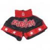 Budo sport thai box nadrg