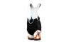 KTM - Nadrg, rvid, Factory team race bib Black/White/Orange