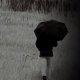 Cip Emlkkoncert: Gerends Pter - Ha mgegyszer lthatnm