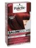 Palette Salon Colors tarts hajfestk 6-88 Intenzv vrs