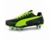 Frfi puma evospeed foci cip