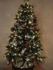 Y?lba?? A?ac? Y?lba?? Kostmleri Noel Baba Noel Anne Kostmleri