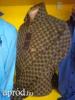 Gucci frfi ing