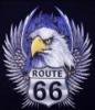 American eagle pl