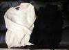 Ralph Lauren Polo Sport and Tommy Hilfiger Women s Sweaters
