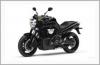 Harley Davidson MOTOROS BGRE bgre 1 600 EGYEDI FNYKPES BGRE