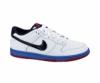 Nike Dunk Low GS- nike cip