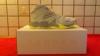 Nike Lebron Zoom Soldier VII kosrlabda cip