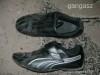 40-es puma br cip