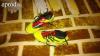 Adidas predator stoplis cip