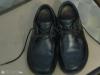 Timberland cip 43
