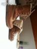 31-es Timberland tli cip