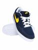 NIKE AVID JR fi deszks cip