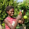 Farmer to Farmer Southern Africa