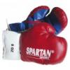 SPARTAN gyerek boxkeszty