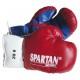 SPARTAN gyerek boxkeszty