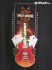 Rocker lnyoknak Harley Davidson gitros pl