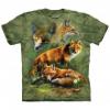 Red Fox Collage felntt rvidujj amerikai pl