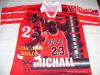 Michael JORDAN 23 pl