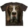 German Shorthaired Pointer Head felntt rvidujj amerikai pl