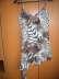 Tigris mints nyri fels