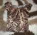 Tigris mints elegns fels