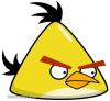 Angry_Birds_04 ruhra vasalhat matrica 10x9,5 cm