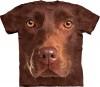 The Mountain Chocolate Lab Face felntt rvidujj 3D amerikai pl