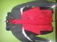Rossignol Skabt