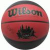 Wilson Derrick Rose MVP kosrlabda (80552)