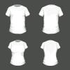 Vektor, pl, tervezs, sablon