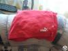 Puma frfi rvidnadrg L