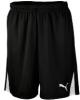 Puma Team rvidnadrg